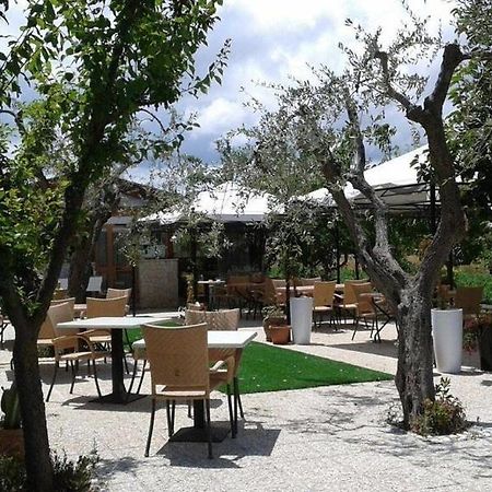 Hotel Il Gelso Bianco Vieste Exteriér fotografie